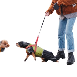 Reactive dog training classes Calgary: A reactive dog barks at another dog while on a leashed walk with an individual